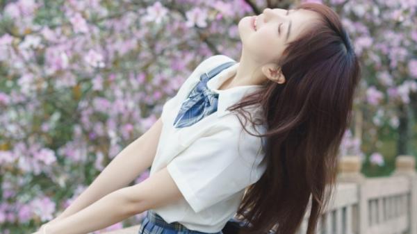 四叶草研究所2024到2025隐藏入口最新版在哪里 四叶草研究所2024到2025隐藏入口最新版在哪里